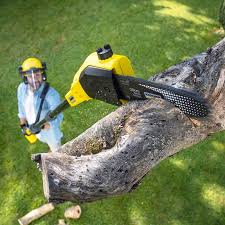 Best Lawn Mowing  in Ramona, CA