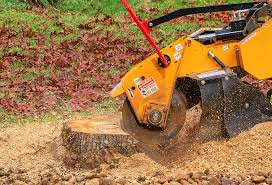 Best Emergency Tree Removal  in Ramona, CA
